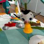 Play gym Image 3