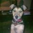 siobhan.oloughlin