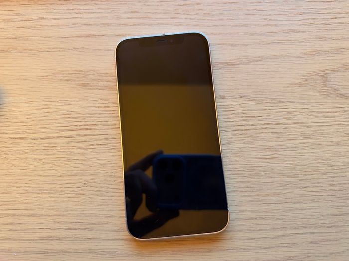 Iphone 12 Pro