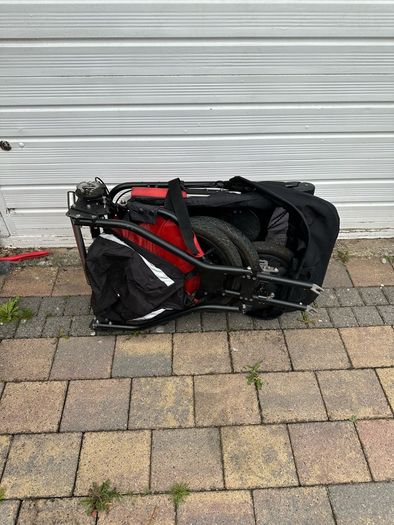 Delta Delichon Special Needs Buggy