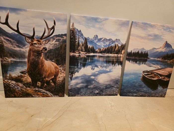 3 framed printed canvas 45x65cm
