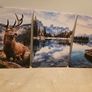 3 framed printed canvas 45x65cm Image 3