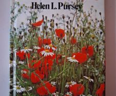 Hamlyn Nature Guides/ Wild Flowers / Helen L. Pursey / 1979