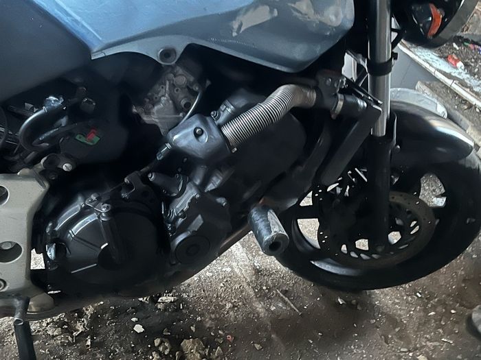 2004 Honda Cbf 600n