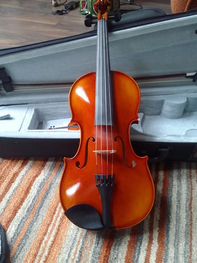 Violin