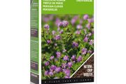Buzzy Green Manure Persian Clover Seeds 200g | Plant in July