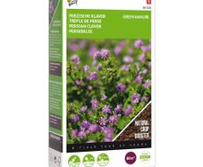 Buzzy Green Manure Persian Clover Seeds 200g | Plant in July