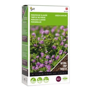 Buzzy Green Manure Persian Clover Seeds 200g | Plant in July