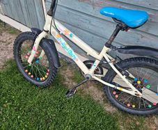 18" kids bike
