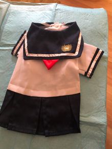 Dog Sailor Dress