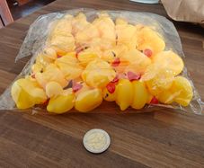 50 Yellow Rubber Ducks