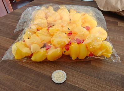 50 Yellow Rubber Ducks