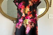 Ted Baker Embla Floral Dress Womans Size 2, UK 10