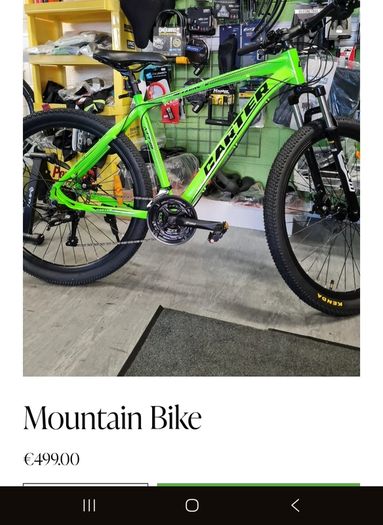 Mountain Bike