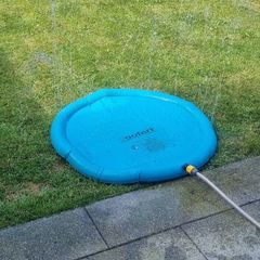 Dog splash mat