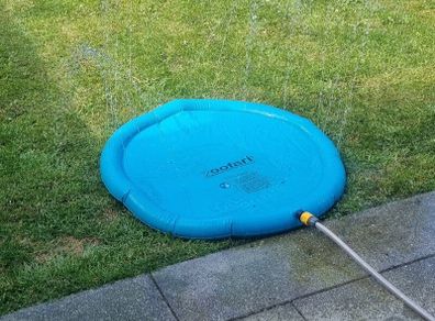 Dog splash mat
