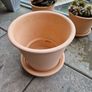 Terracotta Plant Pot Image 2