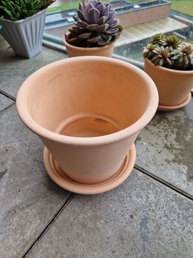Terracotta Plant Pot