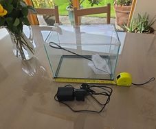 Fish Tank