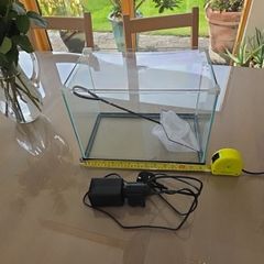 Fish Tank