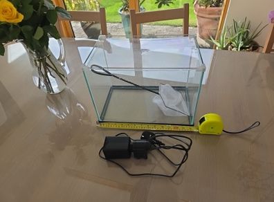 Fish Tank