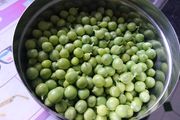 Green Pea Seedlings