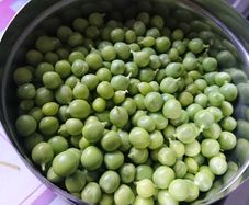 Green Pea Seedlings