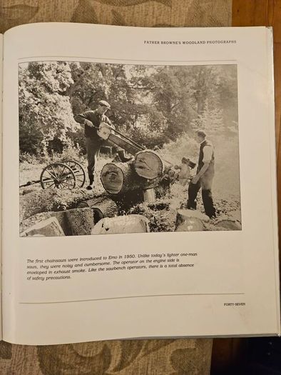 Forest Images. Fr Browne's Woodland Photographs From Emo Court Co Laois. Fabolous FIRST EDITION Large Volume Hardback In Good Condition.  See Photos For Same.