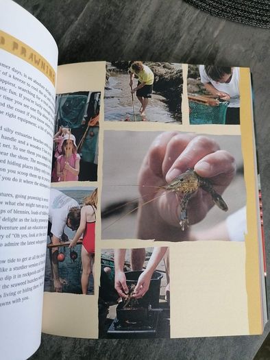 The Camper Van Cookbook Life on 4 wheels