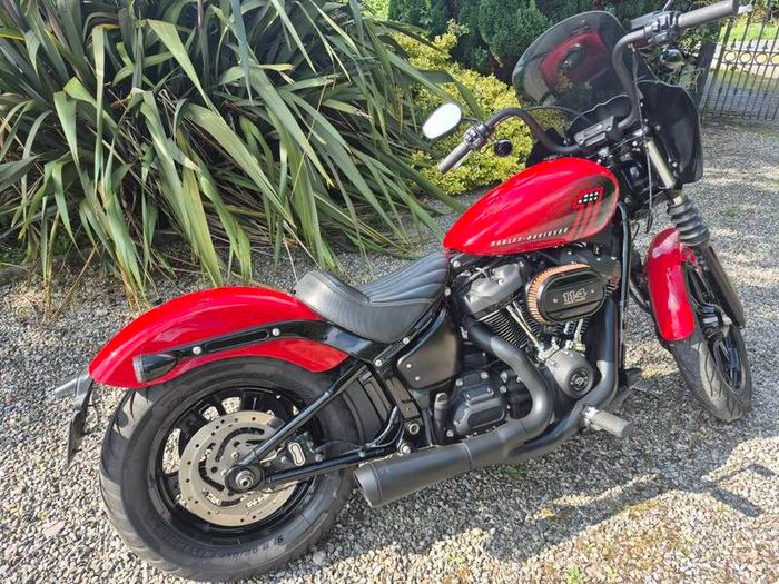 2024 Harley Davidson Street Bob