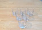 Handblown Etched Shot Glasses