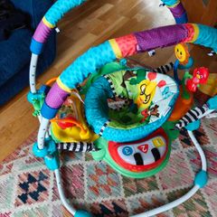 Little Einstein Bouncer