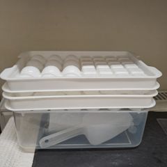 Ice Cube Tray Set with Storage Bin
