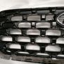 Hyundai Santa Fe Main Grille Image 2