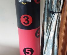 Everlast standing Punch Bag