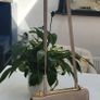 VINTAGE Stuart Weitzman beige leather with gold bar crossbody flap bag Image 2