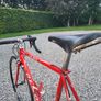 Olmo San Remo Image 2