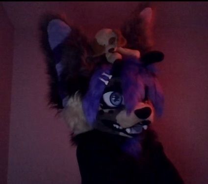 Canine fursuit partial