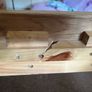 Solid bed frame and matching lockers Image 4