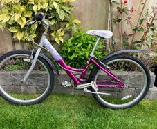 Girls raleigh bike