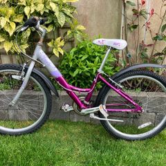 Girls raleigh bike