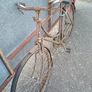 high nelly bikes Image 9