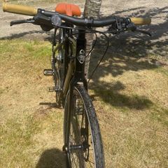 Momentum voyae + E bike