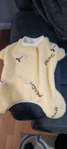 dog clothes