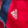 British and Irish lions jacket Image 3