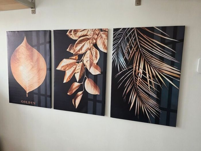 3 canvas framed 46x66cm each size