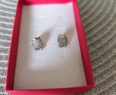 Silver earrings Owl