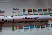 Little Ondine Puppy Collection in 04