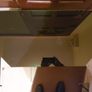 Tempered Glass Black TV Table, 60cm x 40cm, height 50cms, in like new condition Image 3