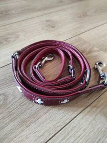 Dog Leash